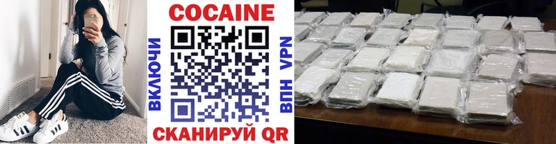 дарк нет состав  купить наркотики цена  Кизляр  Cocaine Columbia 