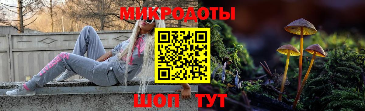 Псилоцибиновые грибы Psilocybe  наркошоп  Кизляр  Галлюциногенные грибы прущие грибы 