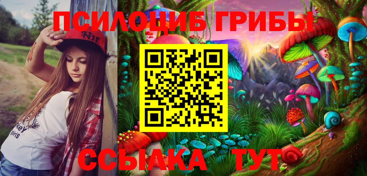 Кизляр  Псилоцибиновые грибы мицелий  Вход с VPN 